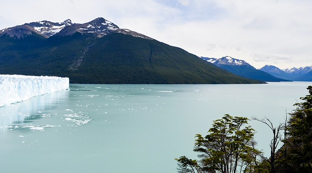 Paisaje de montaña, bosque y glaciar